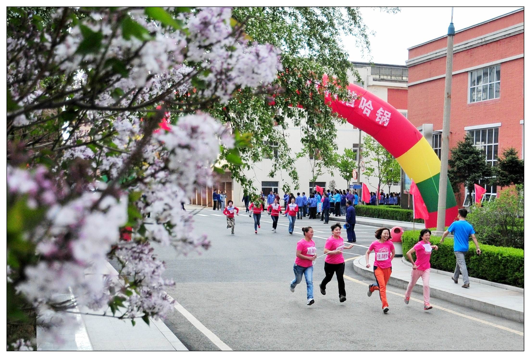 ƽ����(pinnacle)�ٷ���վ