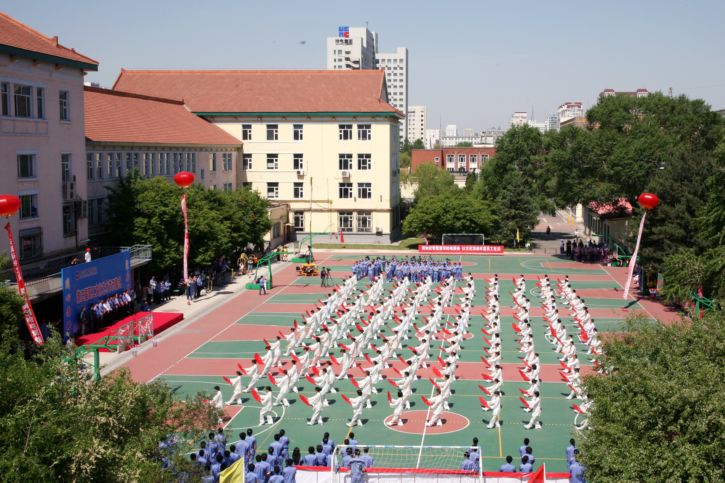 ƽ����(pinnacle)�ٷ���վ