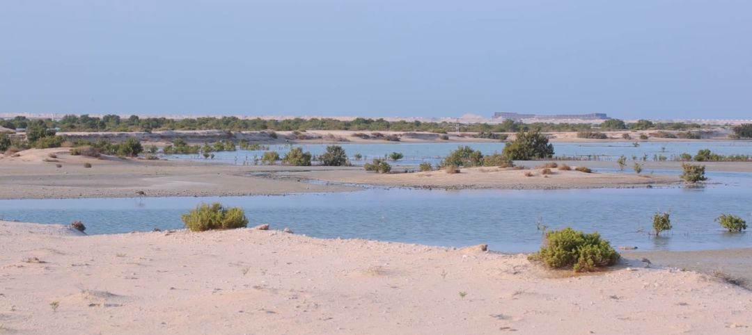 ƽ����(pinnacle)�ٷ���վ