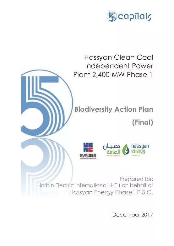 ƽ����(pinnacle)�ٷ���վ