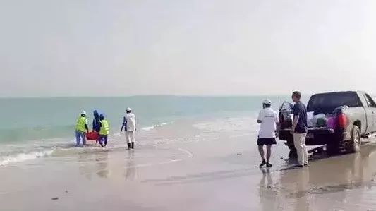 ƽ����(pinnacle)�ٷ���վ