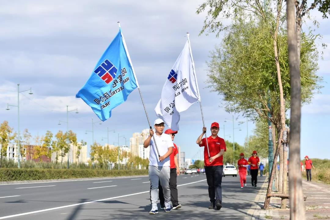 ƽ����(pinnacle)�ٷ���վ