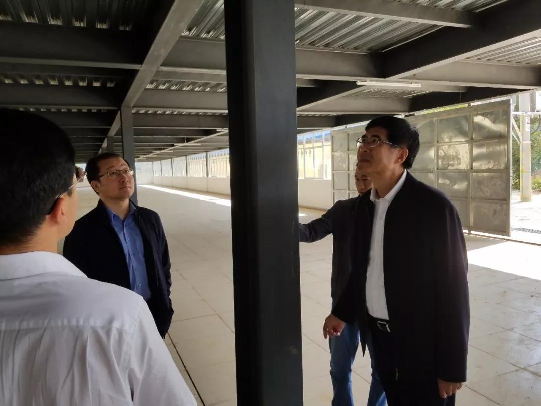 ƽ����(pinnacle)�ٷ���վ