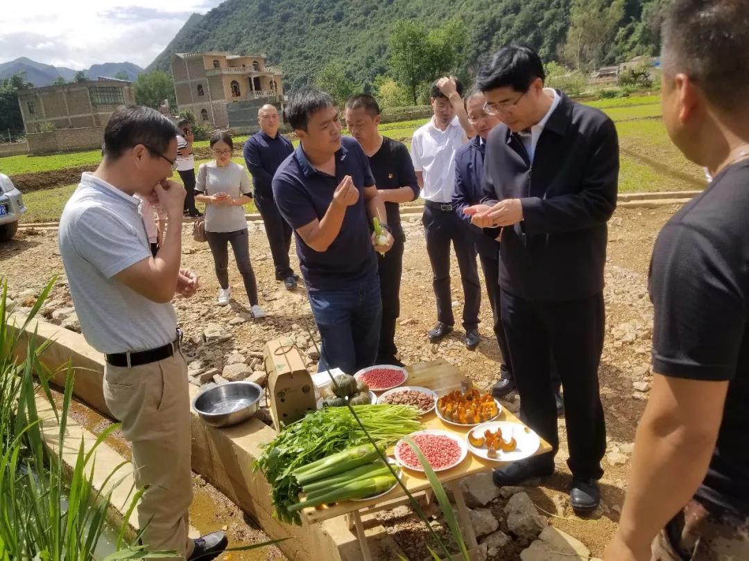 ƽ����(pinnacle)�ٷ���վ