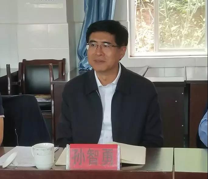 ƽ����(pinnacle)�ٷ���վ