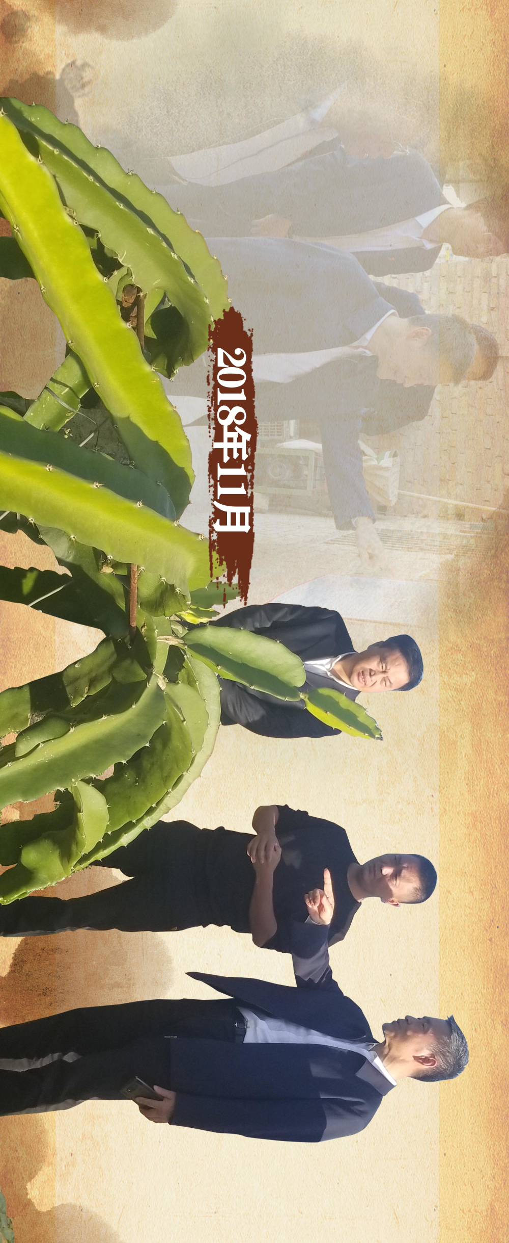 ƽ����(pinnacle)�ٷ���վ