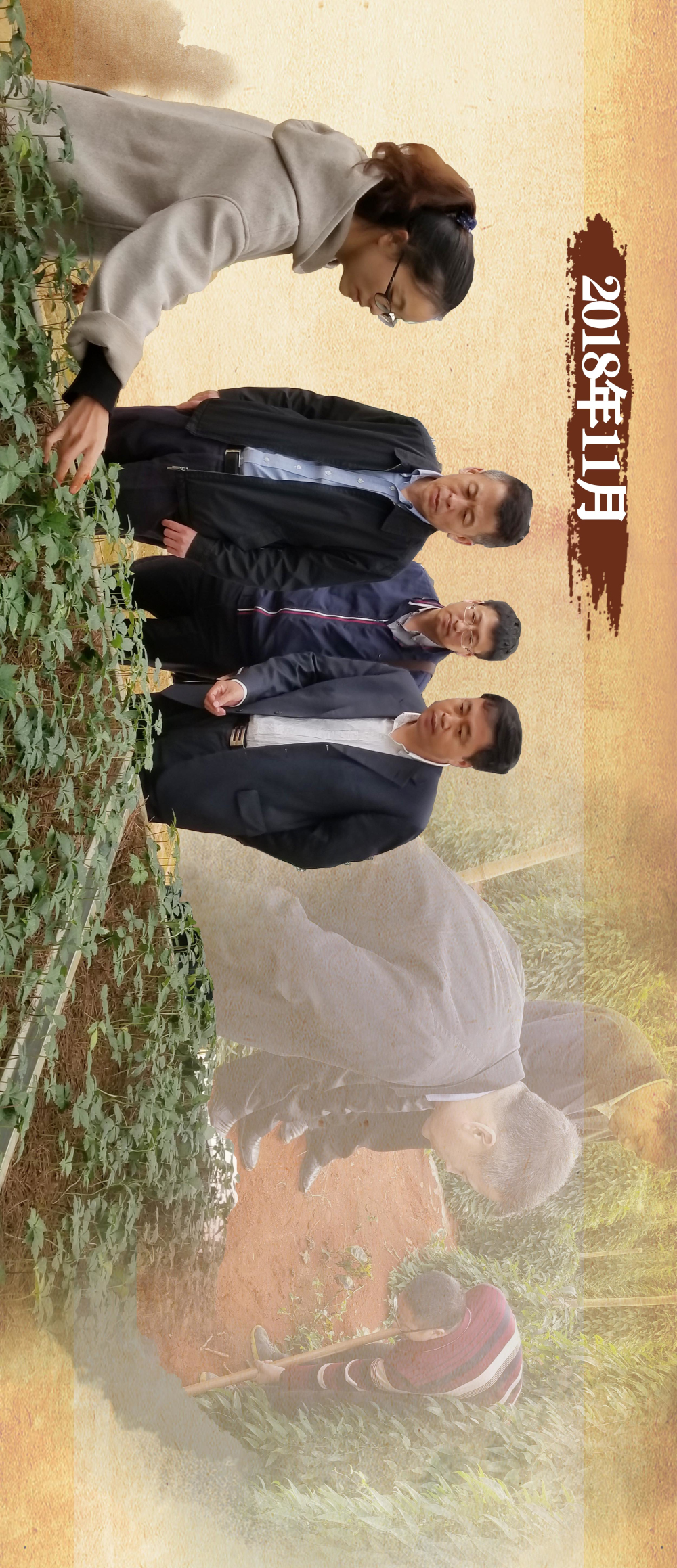 ƽ����(pinnacle)�ٷ���վ