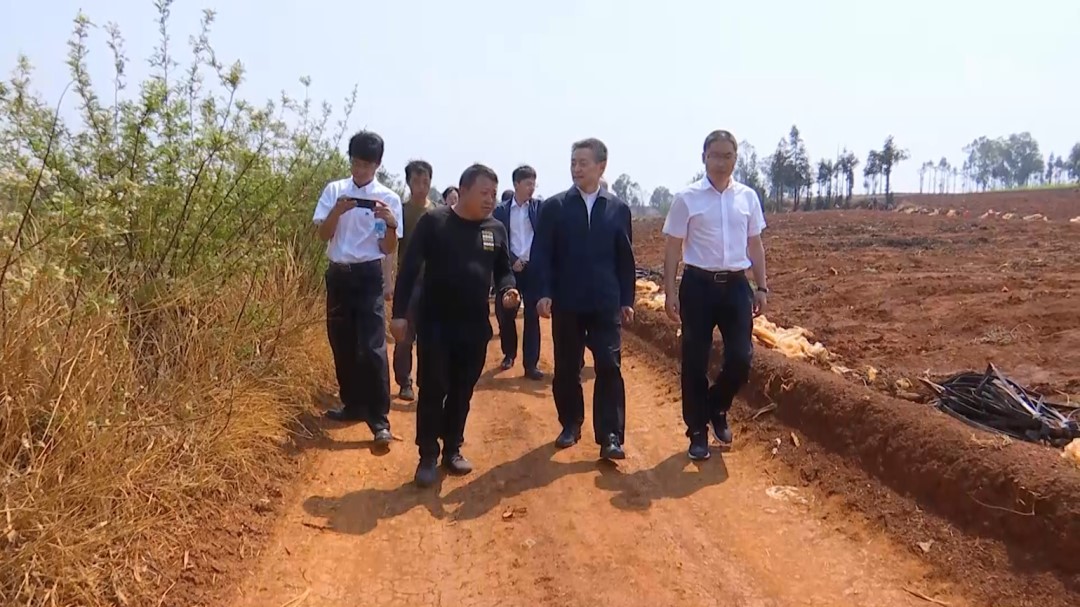 ƽ����(pinnacle)�ٷ���վ