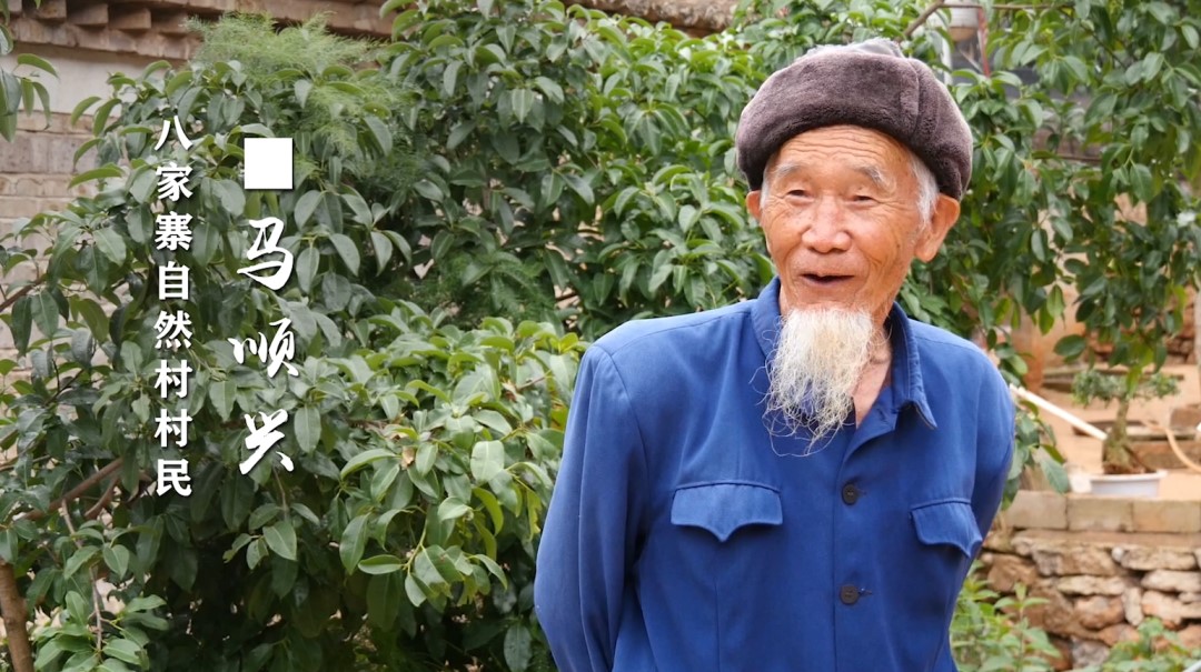 ƽ����(pinnacle)�ٷ���վ