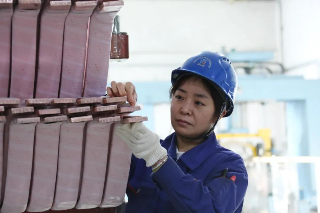 ƽ����(pinnacle)�ٷ���վ