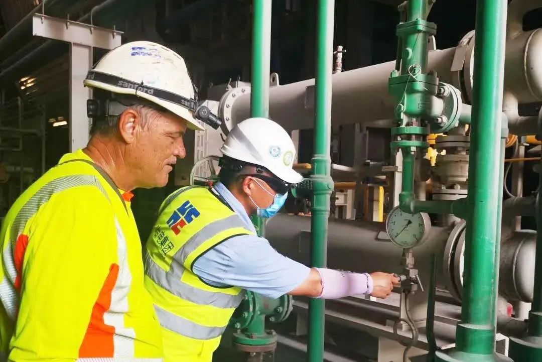 ƽ����(pinnacle)�ٷ���վ