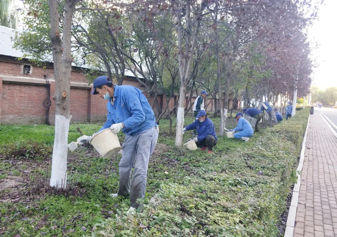 ƽ����(pinnacle)�ٷ���վ