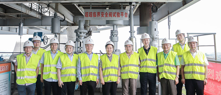 ƽ����(pinnacle)�ٷ���վ