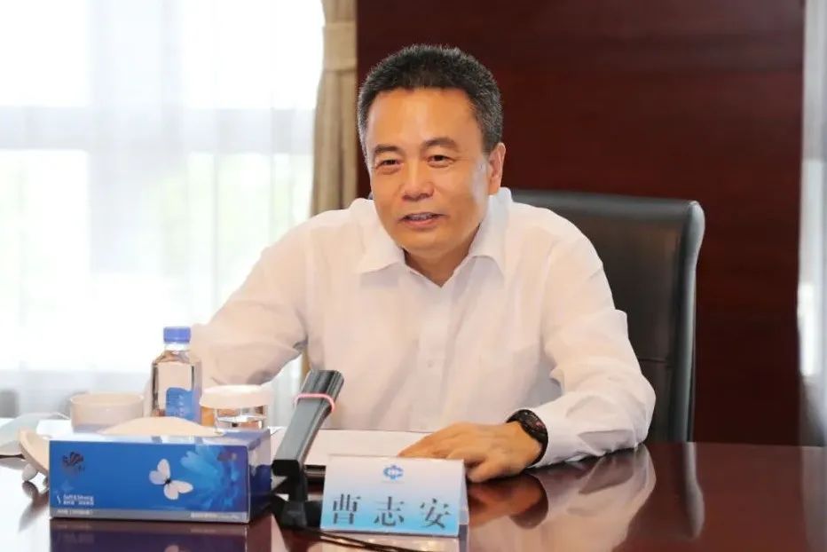 ƽ����(pinnacle)�ٷ���վ