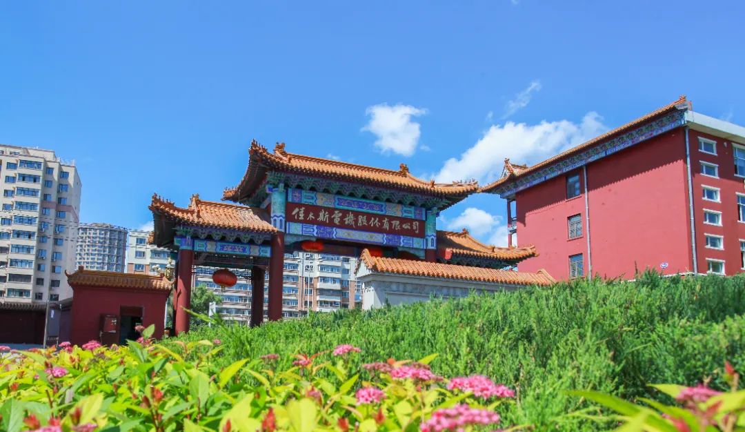 ƽ����(pinnacle)�ٷ���վ