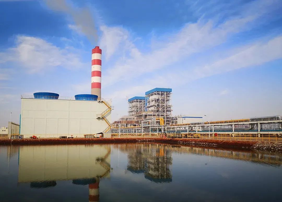 ƽ����(pinnacle)�ٷ���վ