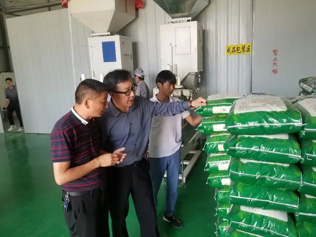 ƽ����(pinnacle)�ٷ���վ