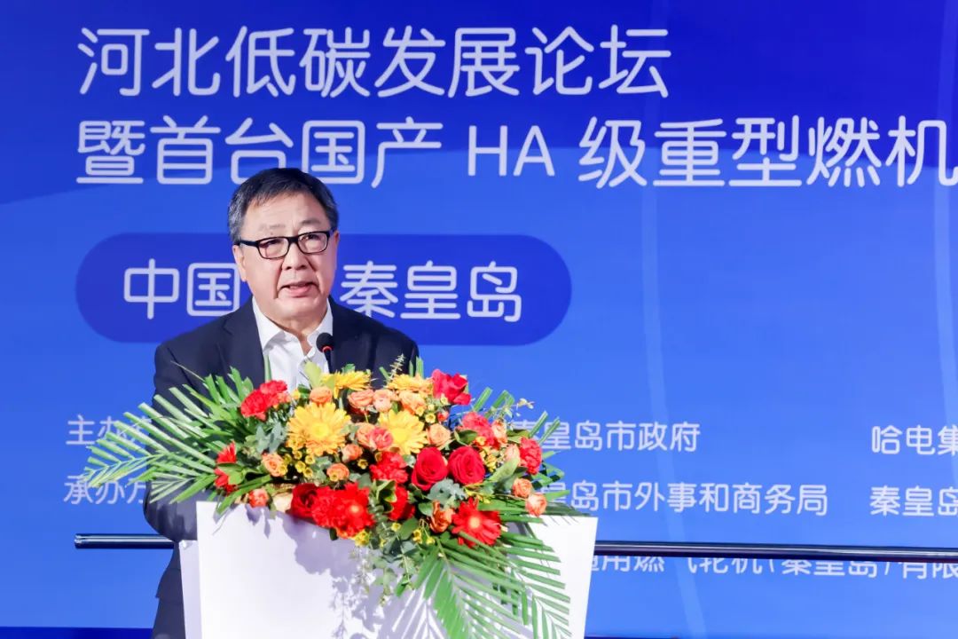 ƽ����(pinnacle)�ٷ���վ