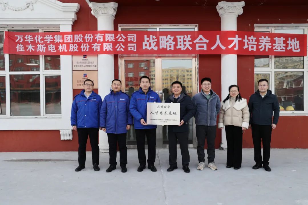 ƽ����(pinnacle)�ٷ���վ