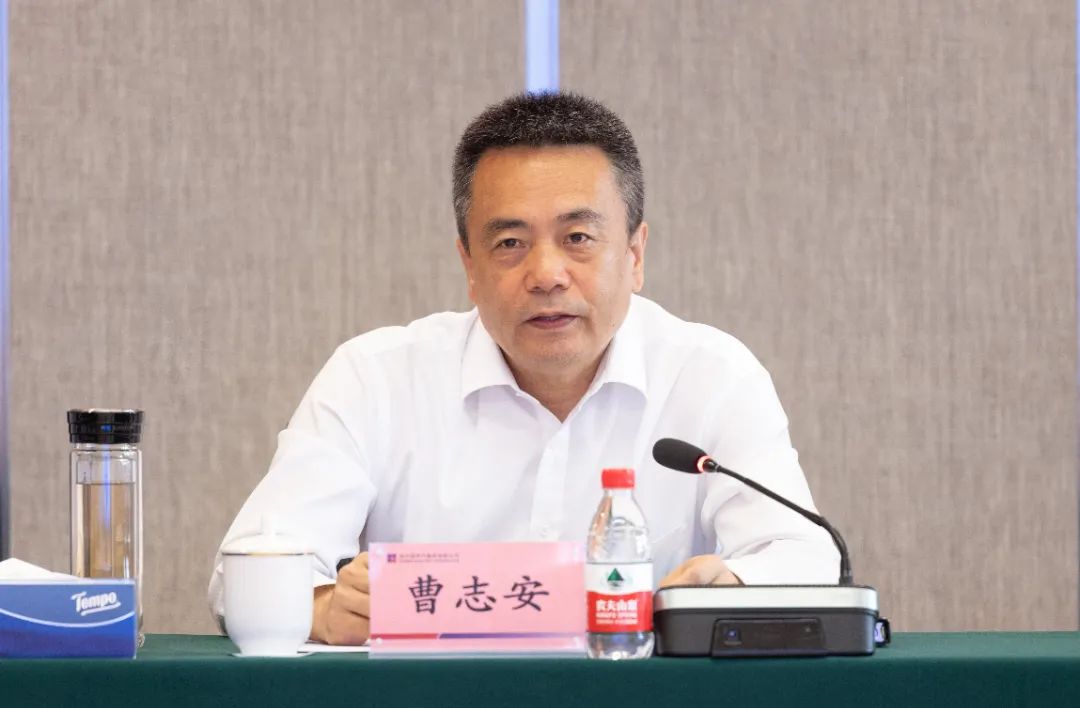 ƽ����(pinnacle)�ٷ���վ